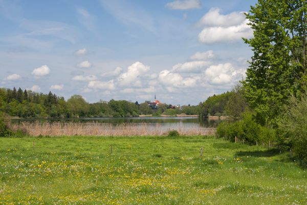 Der Abtsee am Haarmoos ist ein natürlicher Ruhepol mit Tiefenentspannungswirkung