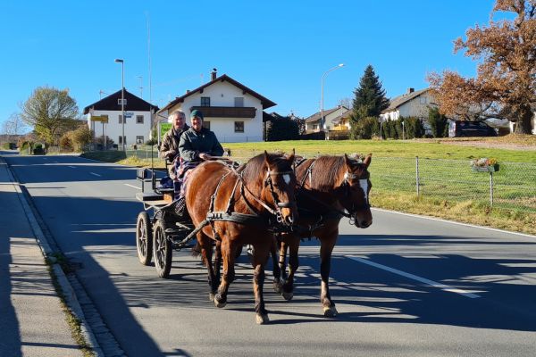 Kutschenfahrten im Ortsbereich Leobendorf