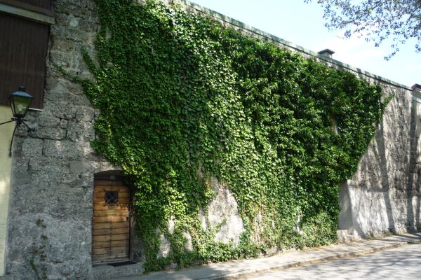 Teil der ehemaligen Stadtbefestigung am Stadtpark - ehemals Seilergraben