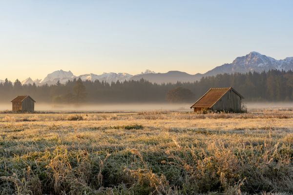 Raureif und Bodennebel im Haarmoos zur Herbstzeit mit Bergen im Hintergrund