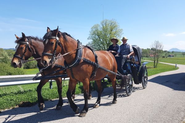 Kutschenfahrten im Gemeindegebiet Laufens im Umgriff von Leobendorf