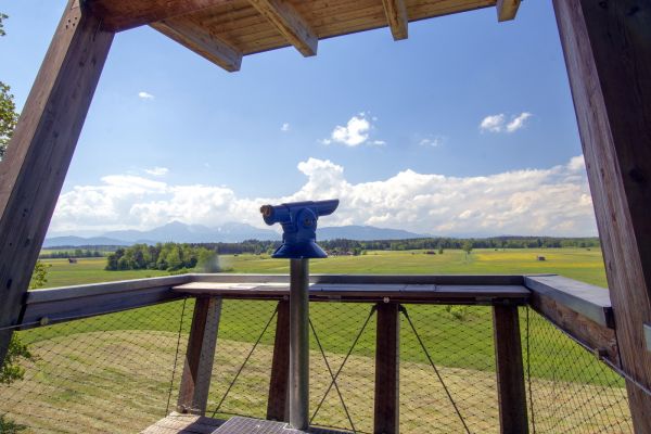 Aussichtspunkt im Haarmoos zur Vogelbeobachtung mit Bergpanorama