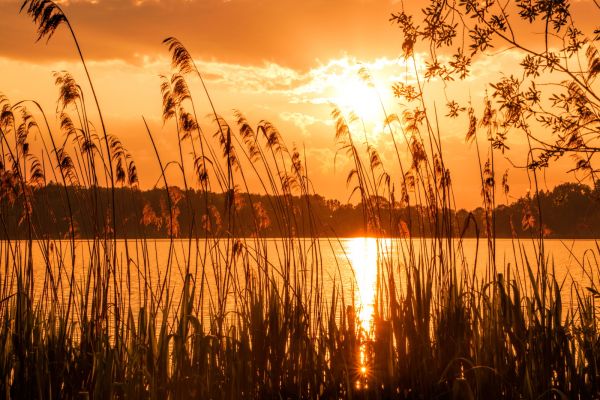 Sonnenuntergang am Abtsdorfer See mit Booten - © Manfred Fiedler