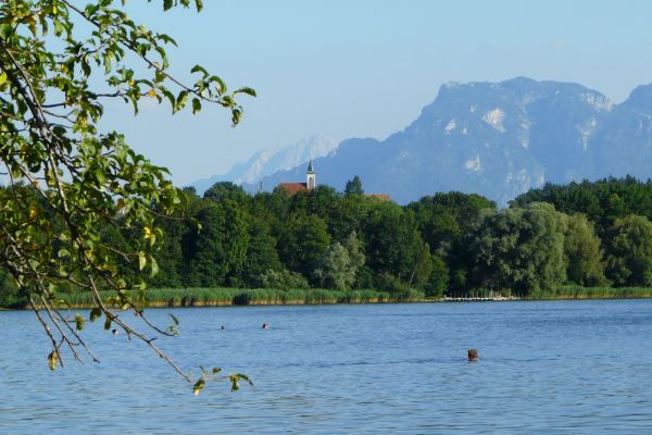Abtsdorfer See mit Abtsdorfer Kirche und Alpen im Hintergrund