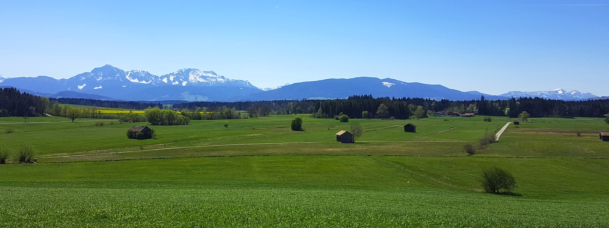 Das Haarmoos mit Bergpanorama zwischen Laufen und Saaldorf-Surheim