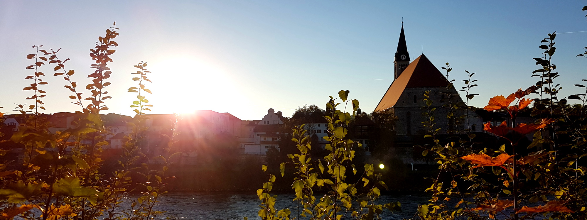 Gegenlichtaufnahme der Altstadtsilhouette von Laufen mit Stiftskirche und Sträuchern im Vordergrund