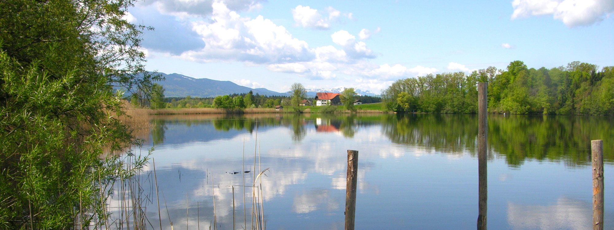 Landschaftsimpression am Abtsdorfer See