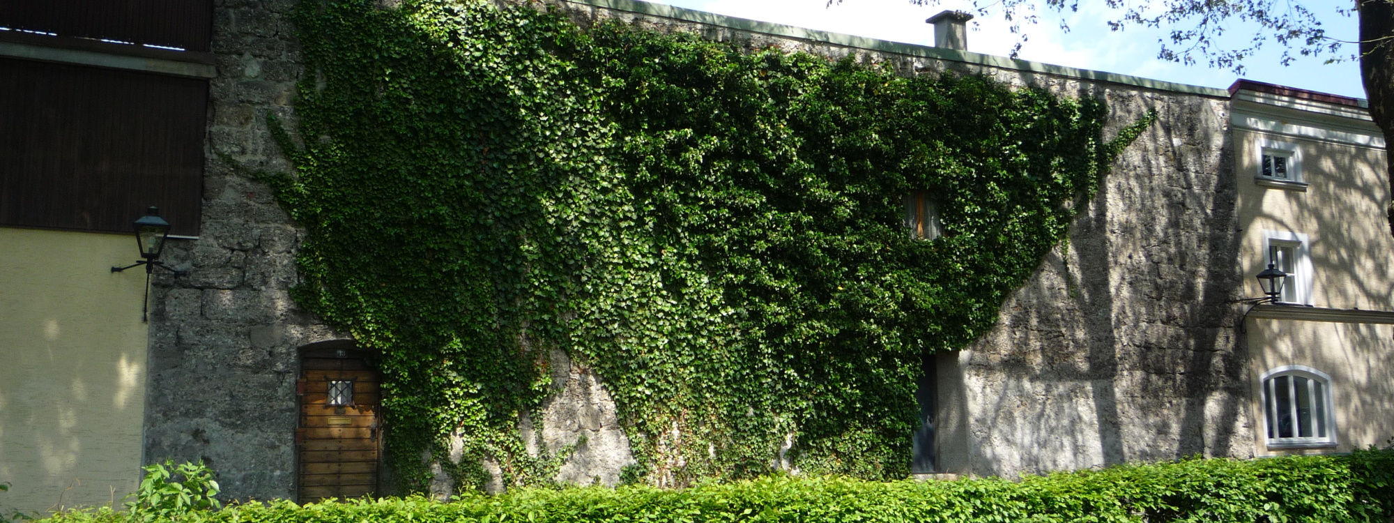 Erhaltener Teil der Stadtmauer mit Wohneinheit und Efeubewuchs an der Fassade