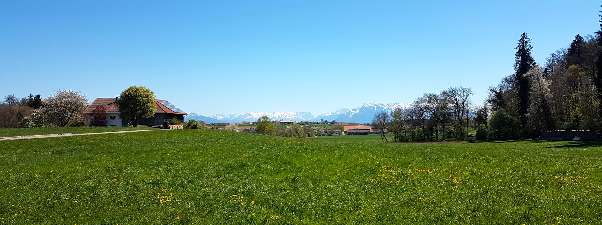 Im Alpenvorland sind Wanderungen mit vielen schönen Perspektiven möglich